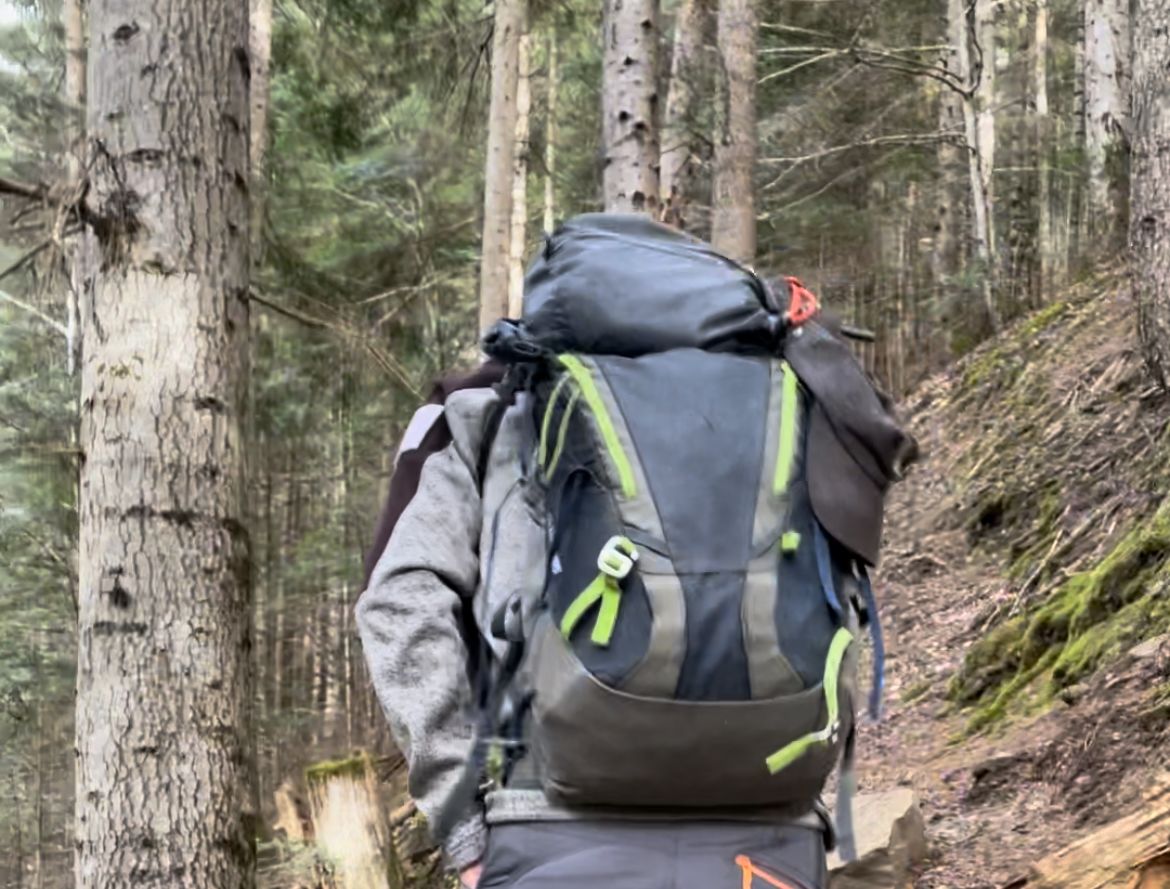 George nous amène sur une randonnée sur la trace de l'ours